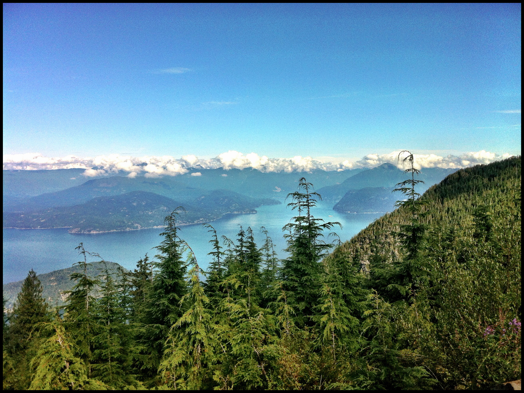 Hiking Bowen Lookout Trail